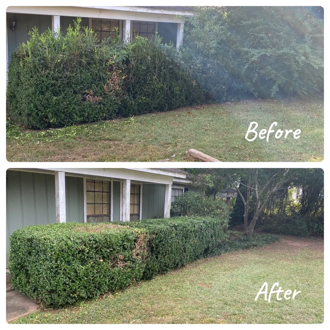 Before and after bush trimming at a West Mobile area property