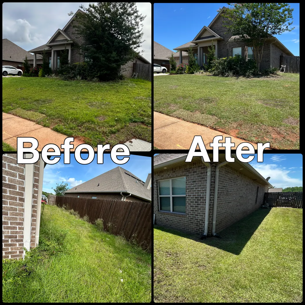Before and after lawn cleanup beside a home