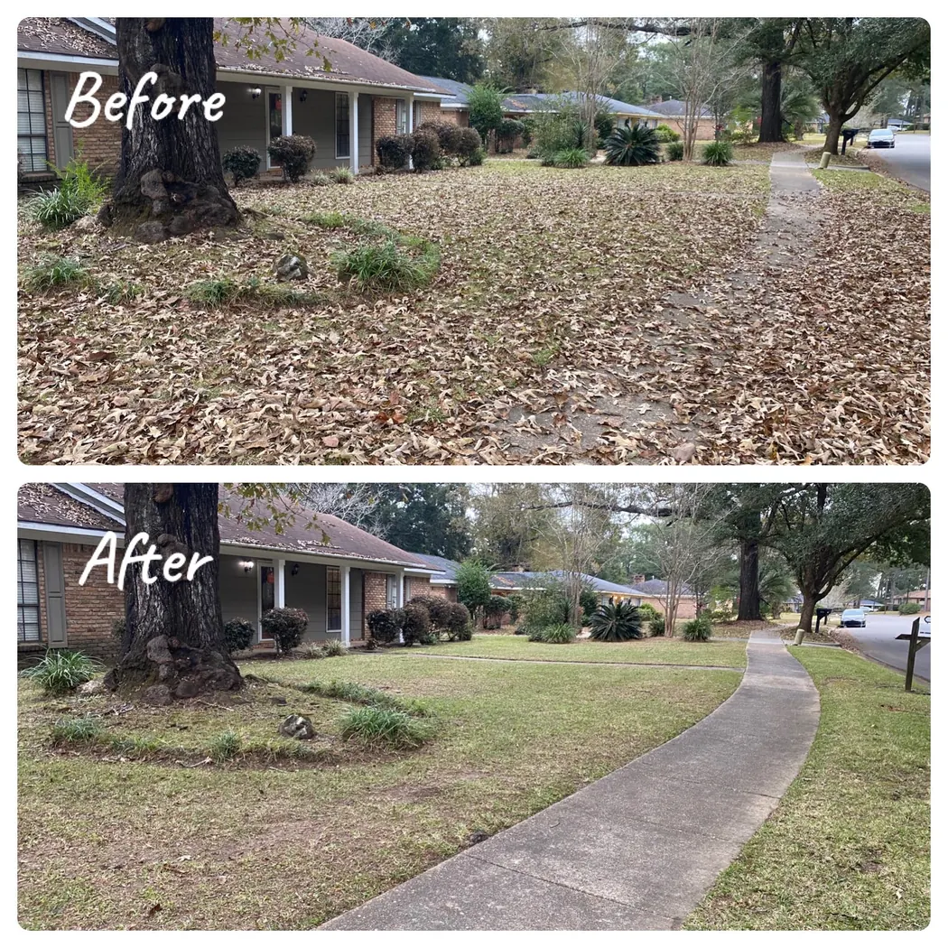 Before and after leaf cleanup in a front yard