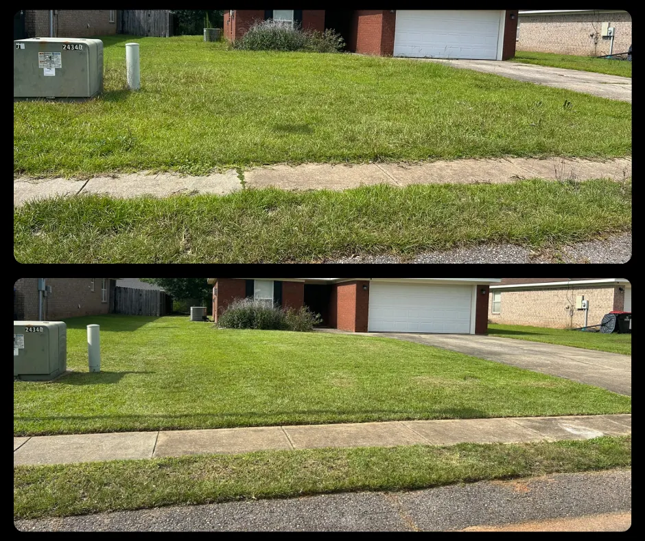Before and after front yard cleanup near a sidewalk