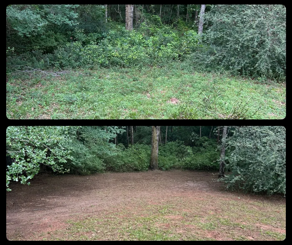 Before and after cleanup in a shaded back yard area