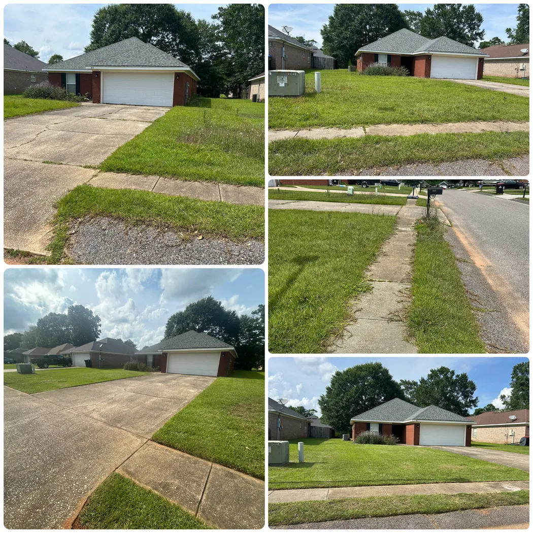 Before and after driveway and yard cleanup