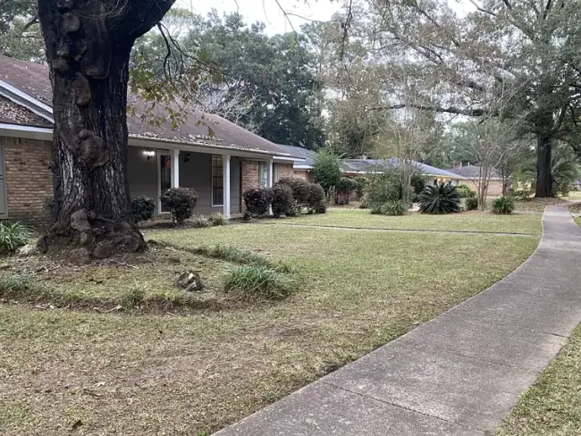 Yard cleanup for a West Mobile-area property