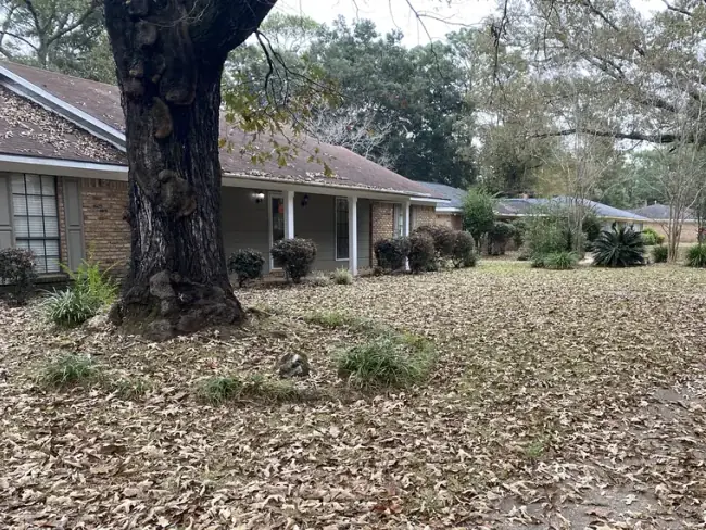 Benefits of Leaf Cleanup