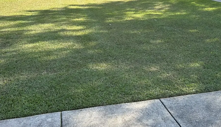 Front Yard Bed Refresh by West Mobile Lawn Care