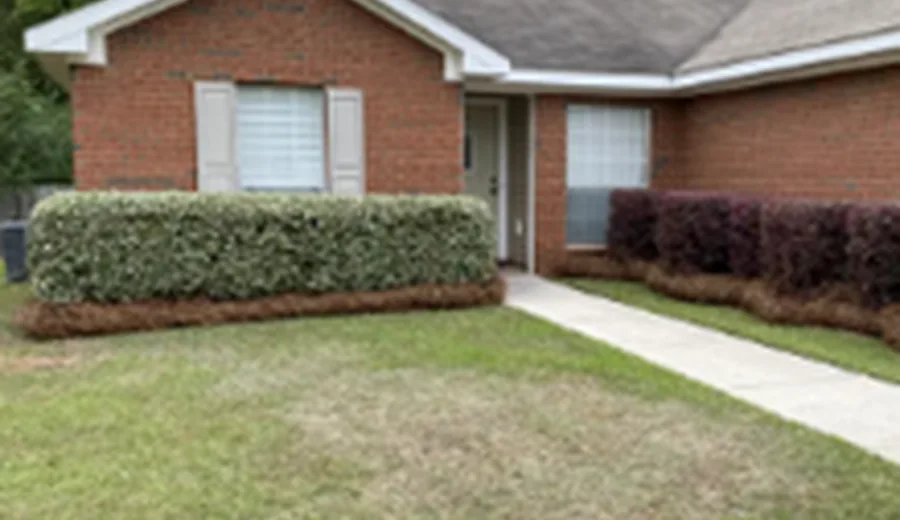 Pine Straw & Tree Ring Refresh by West Mobile Lawn Care